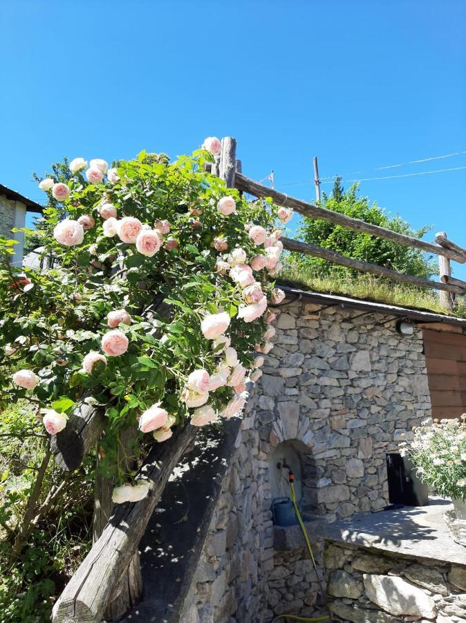 Affittacamere La Lea Roccaforte Mondovi Luaran gambar